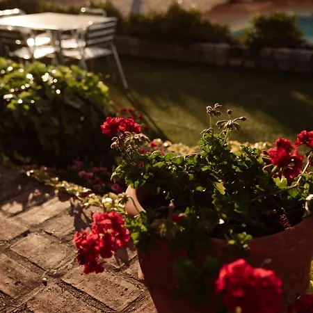 En Cigarral De Villamarta Con Piscina Y Wifi