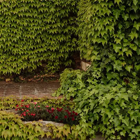 Casa Rural En Cigarral De Villamarta Toledo Con Piscina Privada Toledo