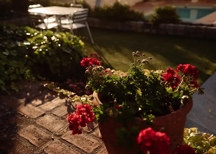 En Cigarral De Villamarta Con Piscina Y Wifi