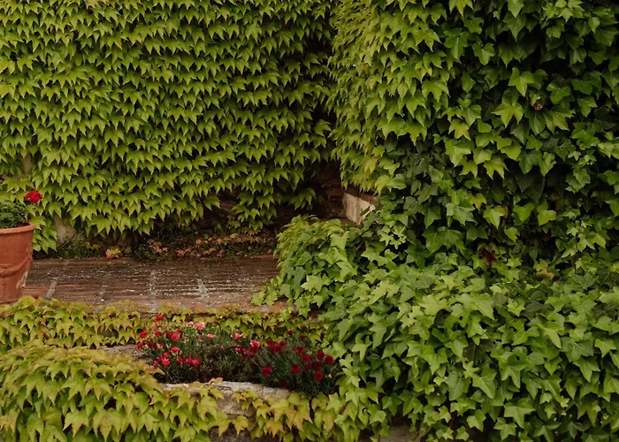 En Cigarral De Villamarta Con Piscina Y Wifi Toledo